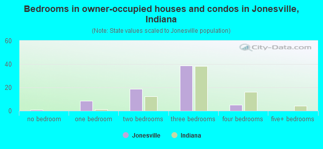 Bedrooms in owner-occupied houses and condos in Jonesville, Indiana