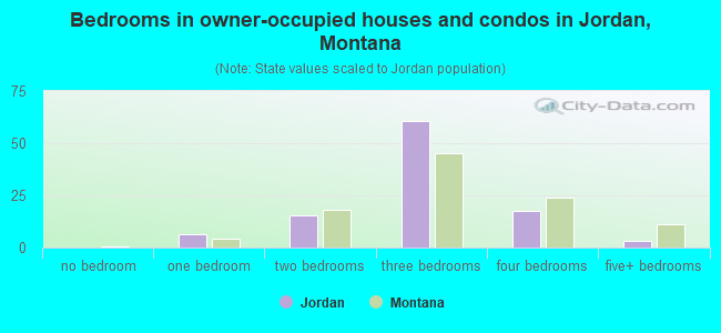Bedrooms in owner-occupied houses and condos in Jordan, Montana