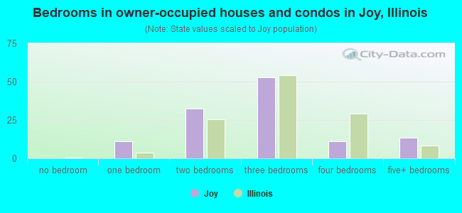 Bedrooms in owner-occupied houses and condos in Joy, Illinois