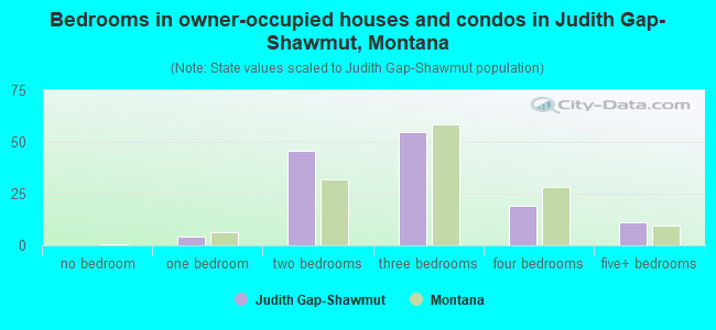 Bedrooms in owner-occupied houses and condos in Judith Gap-Shawmut, Montana