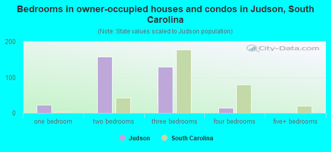 Bedrooms in owner-occupied houses and condos in Judson, South Carolina