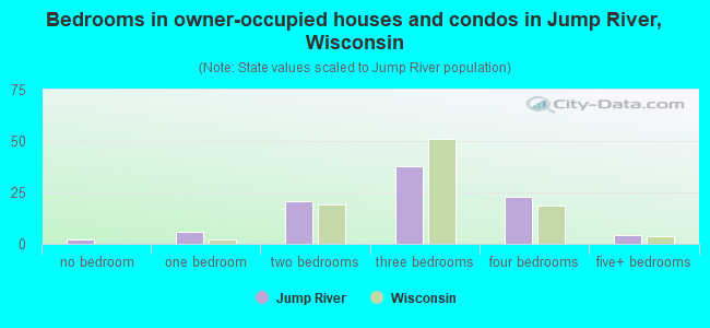 Bedrooms in owner-occupied houses and condos in Jump River, Wisconsin