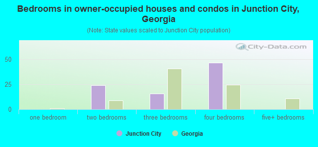 Bedrooms in owner-occupied houses and condos in Junction City, Georgia