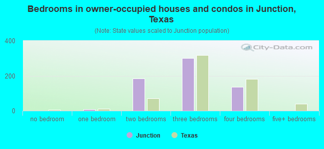 Bedrooms in owner-occupied houses and condos in Junction, Texas