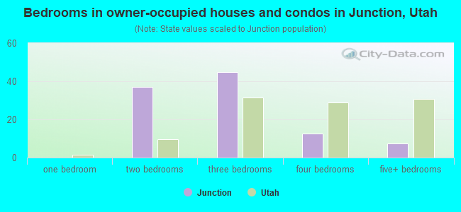 Bedrooms in owner-occupied houses and condos in Junction, Utah