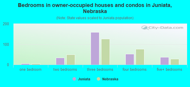 Bedrooms in owner-occupied houses and condos in Juniata, Nebraska