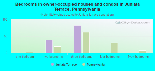 Bedrooms in owner-occupied houses and condos in Juniata Terrace, Pennsylvania