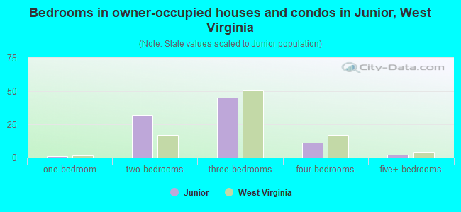 Bedrooms in owner-occupied houses and condos in Junior, West Virginia