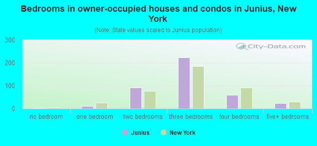 Bedrooms in owner-occupied houses and condos in Junius, New York