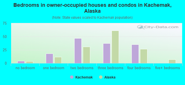 Bedrooms in owner-occupied houses and condos in Kachemak, Alaska