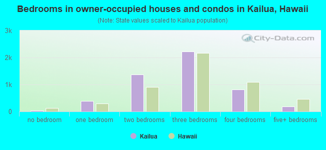 Bedrooms in owner-occupied houses and condos in Kailua, Hawaii