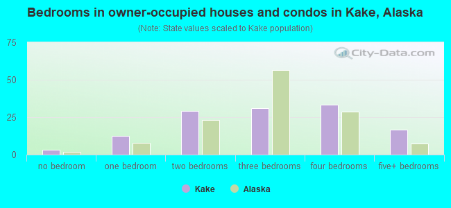 Bedrooms in owner-occupied houses and condos in Kake, Alaska