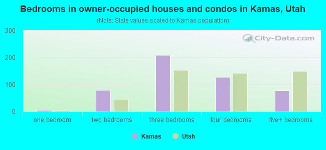 Bedrooms in owner-occupied houses and condos in Kamas, Utah