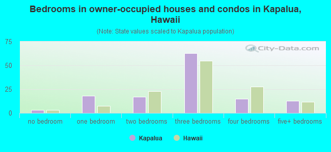 Bedrooms in owner-occupied houses and condos in Kapalua, Hawaii