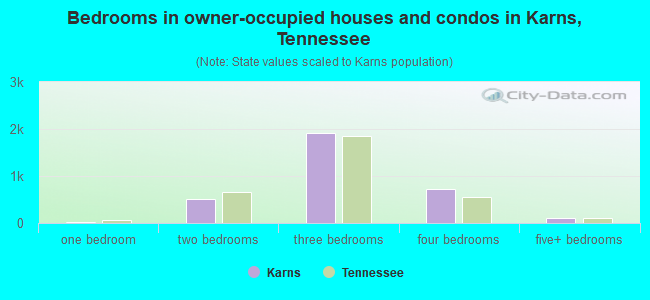 Bedrooms in owner-occupied houses and condos in Karns, Tennessee