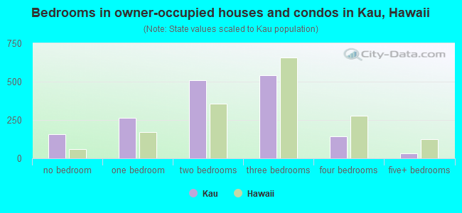 Bedrooms in owner-occupied houses and condos in Kau, Hawaii