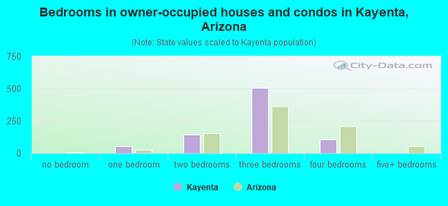 Bedrooms in owner-occupied houses and condos in Kayenta, Arizona