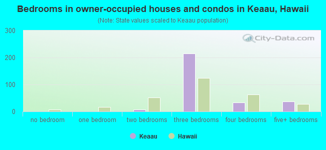 Bedrooms in owner-occupied houses and condos in Keaau, Hawaii