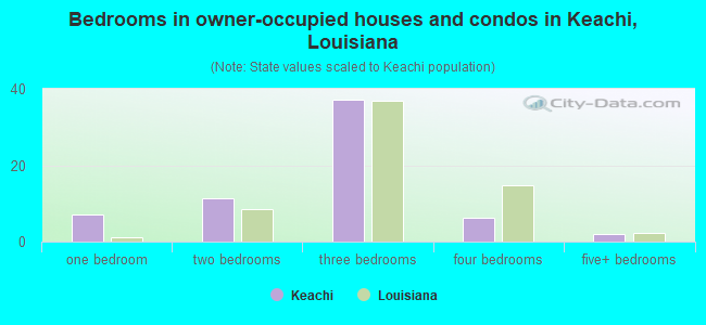 Bedrooms in owner-occupied houses and condos in Keachi, Louisiana