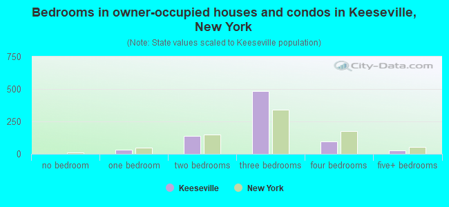 Bedrooms in owner-occupied houses and condos in Keeseville, New York