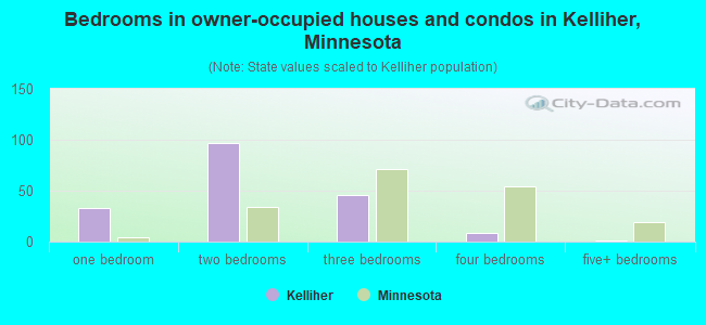 Bedrooms in owner-occupied houses and condos in Kelliher, Minnesota