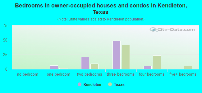 Bedrooms in owner-occupied houses and condos in Kendleton, Texas