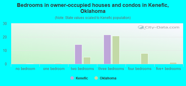 Bedrooms in owner-occupied houses and condos in Kenefic, Oklahoma