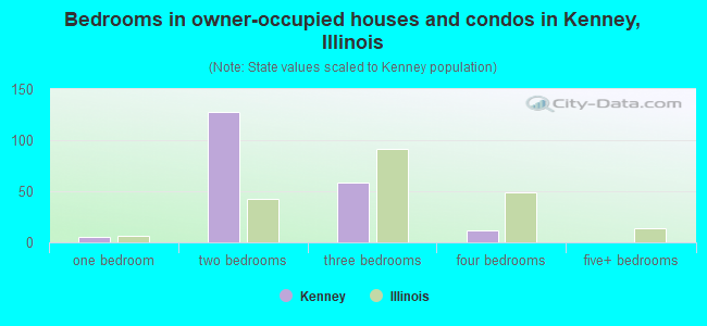 Bedrooms in owner-occupied houses and condos in Kenney, Illinois