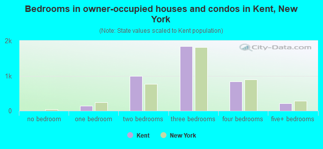 Bedrooms in owner-occupied houses and condos in Kent, New York