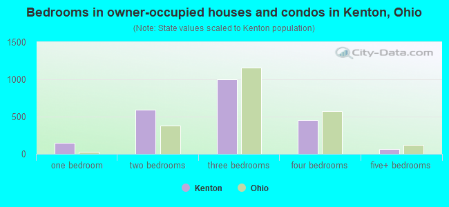 Bedrooms in owner-occupied houses and condos in Kenton, Ohio