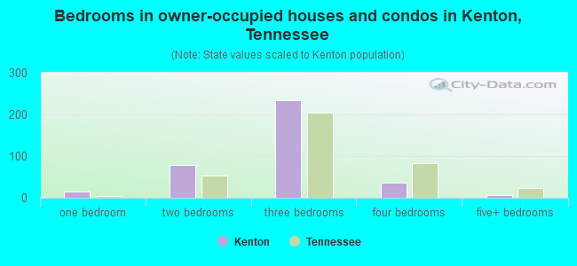 Bedrooms in owner-occupied houses and condos in Kenton, Tennessee