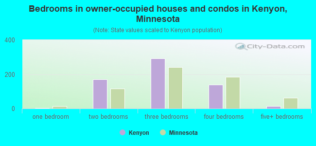 Bedrooms in owner-occupied houses and condos in Kenyon, Minnesota