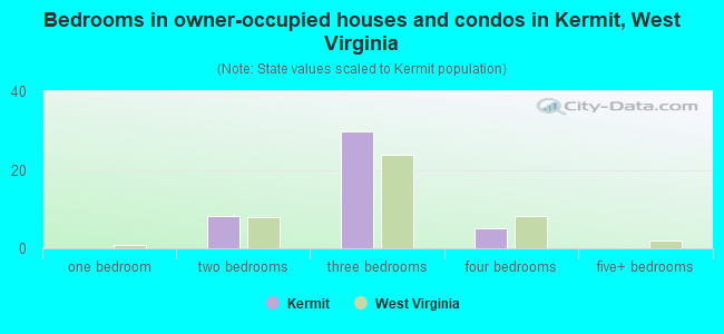 Bedrooms in owner-occupied houses and condos in Kermit, West Virginia