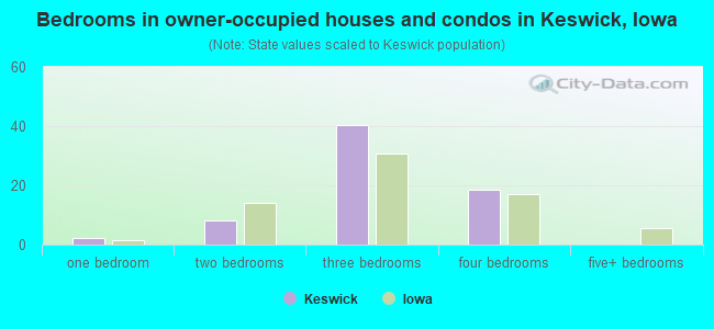 Bedrooms in owner-occupied houses and condos in Keswick, Iowa
