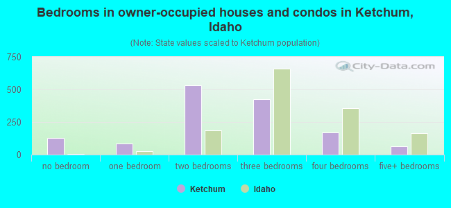 Bedrooms in owner-occupied houses and condos in Ketchum, Idaho
