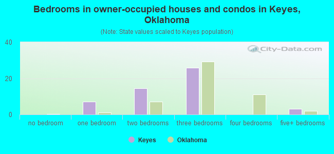 Bedrooms in owner-occupied houses and condos in Keyes, Oklahoma