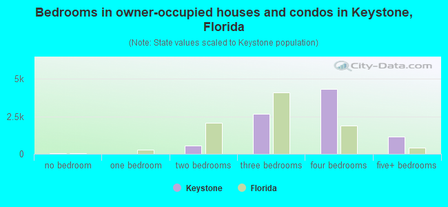 Bedrooms in owner-occupied houses and condos in Keystone, Florida