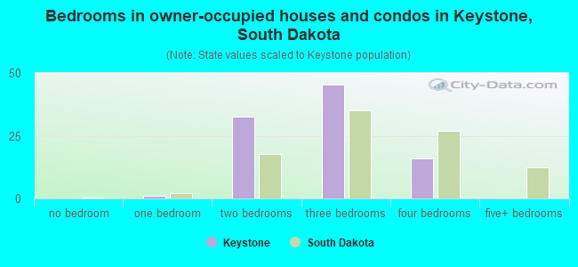 Bedrooms in owner-occupied houses and condos in Keystone, South Dakota