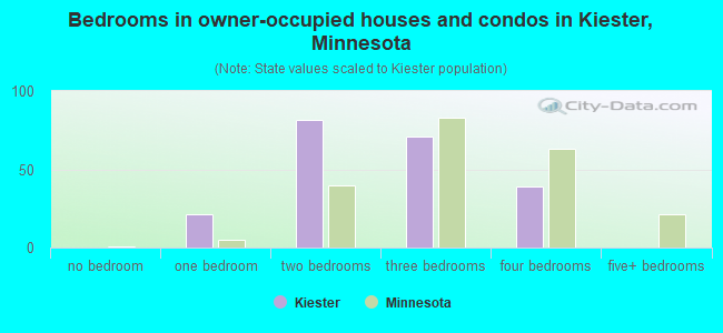 Bedrooms in owner-occupied houses and condos in Kiester, Minnesota