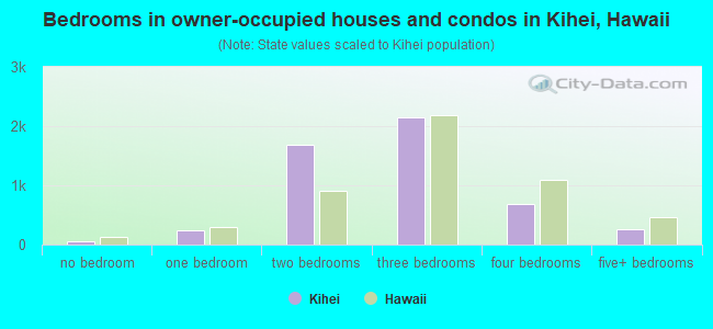 Bedrooms in owner-occupied houses and condos in Kihei, Hawaii