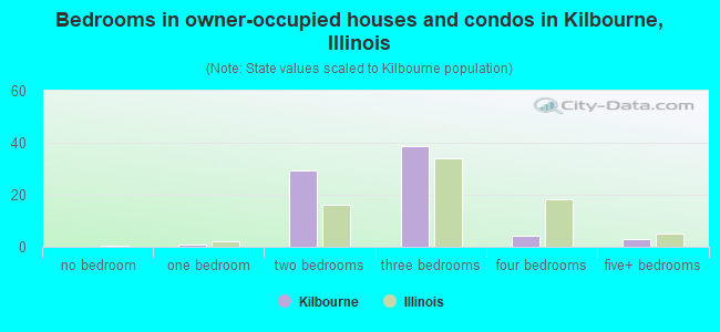 Bedrooms in owner-occupied houses and condos in Kilbourne, Illinois