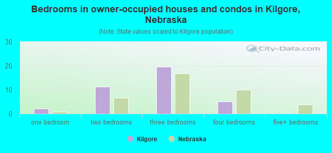Bedrooms in owner-occupied houses and condos in Kilgore, Nebraska