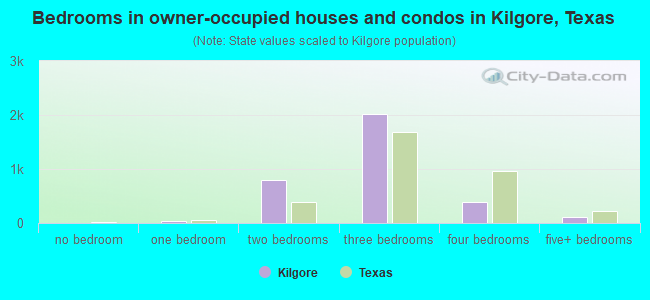 Bedrooms in owner-occupied houses and condos in Kilgore, Texas