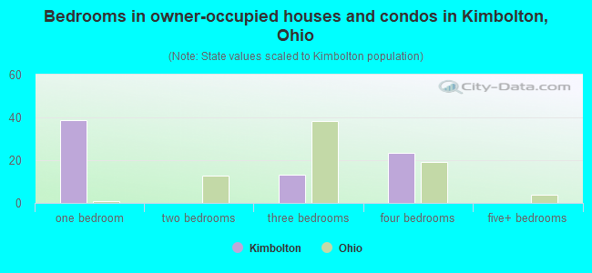 Bedrooms in owner-occupied houses and condos in Kimbolton, Ohio