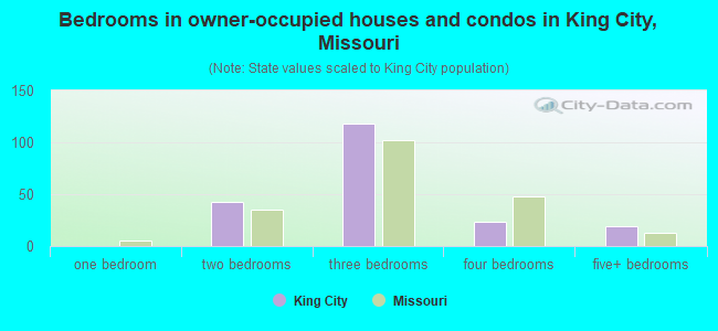 Bedrooms in owner-occupied houses and condos in King City, Missouri
