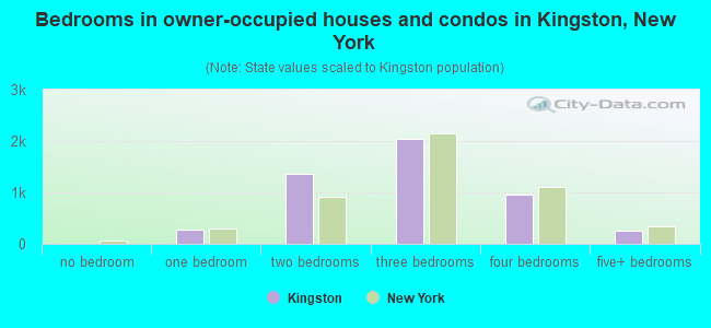 Bedrooms in owner-occupied houses and condos in Kingston, New York
