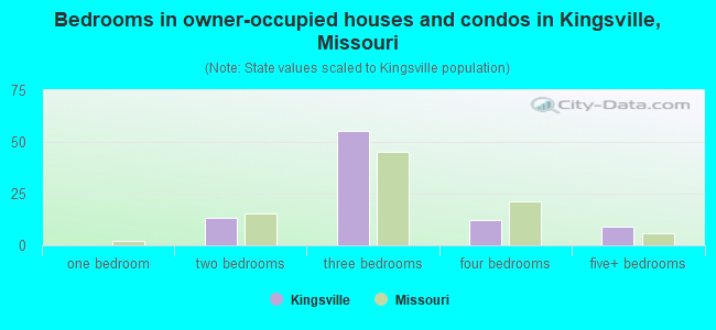 Bedrooms in owner-occupied houses and condos in Kingsville, Missouri
