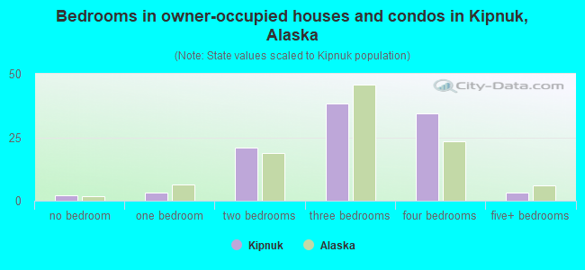 Bedrooms in owner-occupied houses and condos in Kipnuk, Alaska