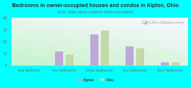 Bedrooms in owner-occupied houses and condos in Kipton, Ohio