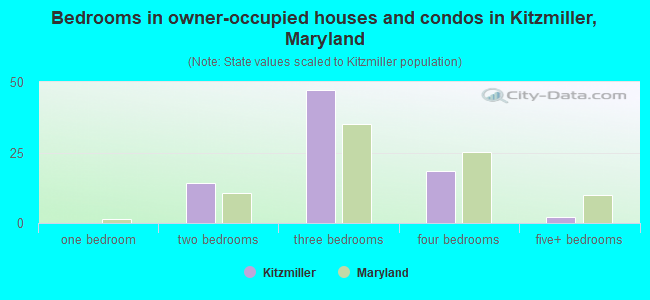 Bedrooms in owner-occupied houses and condos in Kitzmiller, Maryland